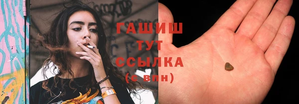 дмт Краснослободск